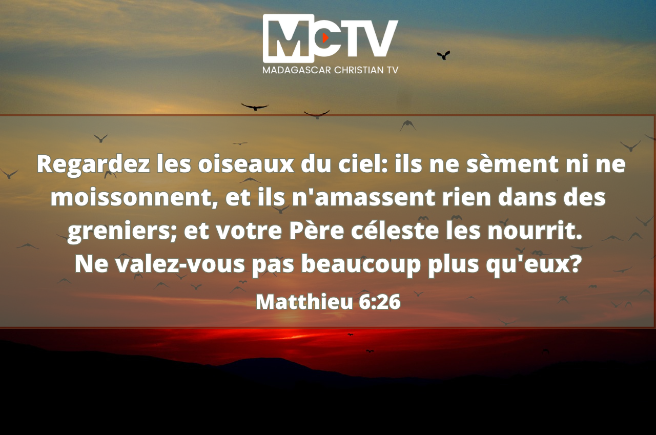Matthieu 6:26