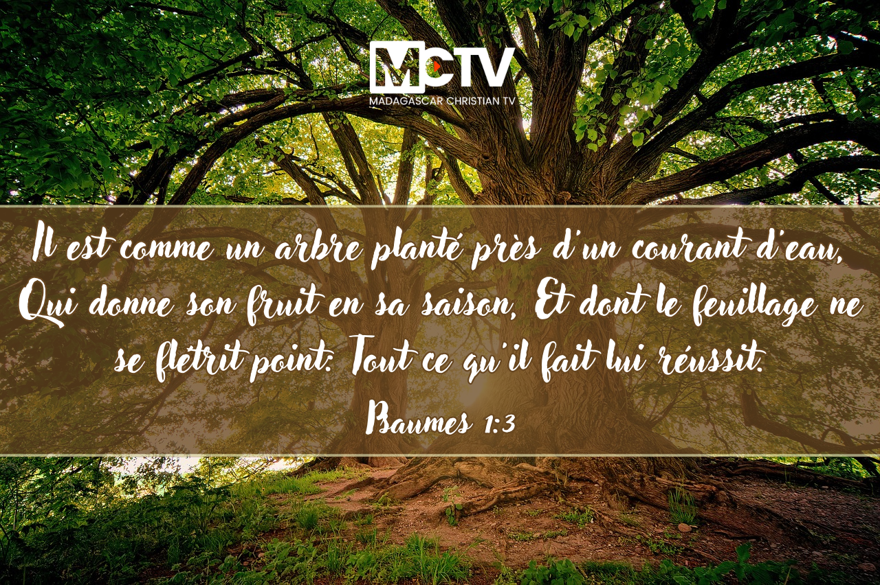 Psaumes 1:3